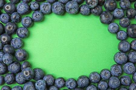 Frame of ripe blueberries on green background, flat lay with space for textの写真素材