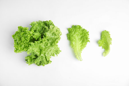 Leaves of fresh lettuce on white background, top view. Salad greensの写真素材