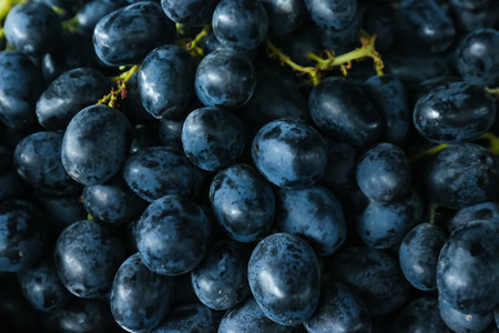 Fresh ripe juicy black grapes as background, closeup viewの写真素材