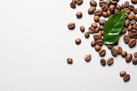 Fresh green coffee leaves and beans on light background, flat lay. Space for textの写真素材