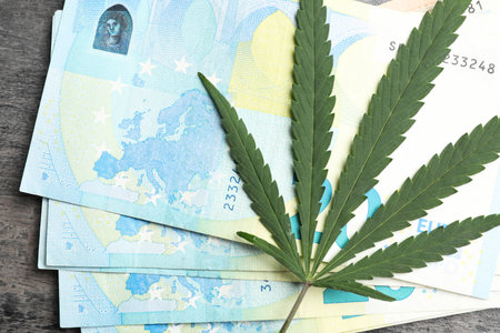 Hemp leaf and euro banknotes on gray wooden background, top viewの写真素材