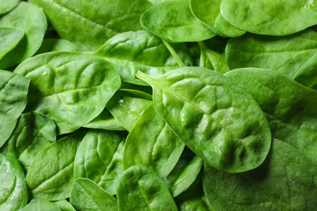 Fresh healthy green spinach as background, closeupの写真素材