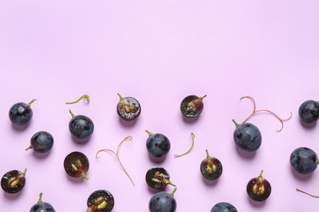 Flat lay composition with fresh ripe juicy grapes on lilac background, space for textの写真素材