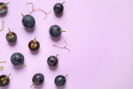 Flat lay composition with fresh ripe juicy grapes on lilac background, space for textの写真素材