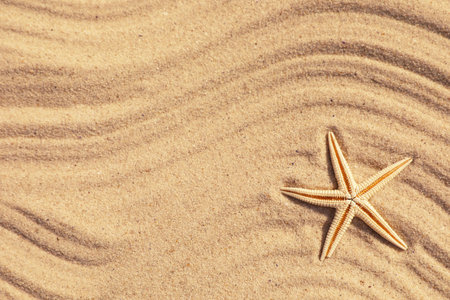 Starfish on beach sand with wave pattern, top view. Space for textの写真素材