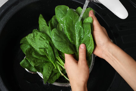Woman washing fresh green healthy spinach in sink, closeupの写真素材
