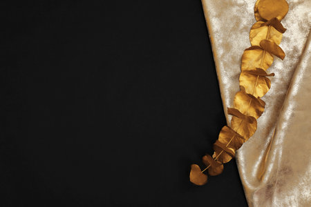 Gold painted eucalyptus branch and fabric on black background, top view with space for textの写真素材