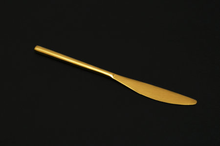 Shiny elegant gold knife on black background