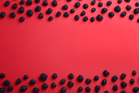 Flat lay composition with ripe blackberries on red background. Space for textの写真素材