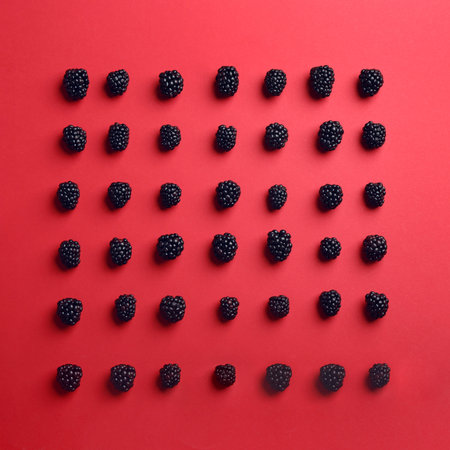 Flat lay composition with ripe blackberries on red backgroundの写真素材