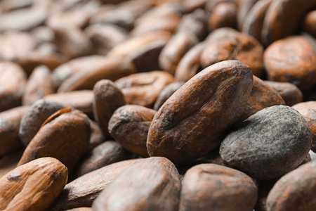 Tasty cocoa beans as background, closeup viewの写真素材