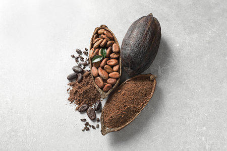 Cocoa pods, beans and powder on light table, flat layの写真素材