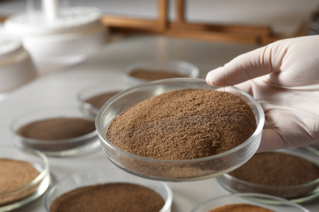 Woman holding Petri dish with soil sample over table, closeup. laboratory researchの写真素材