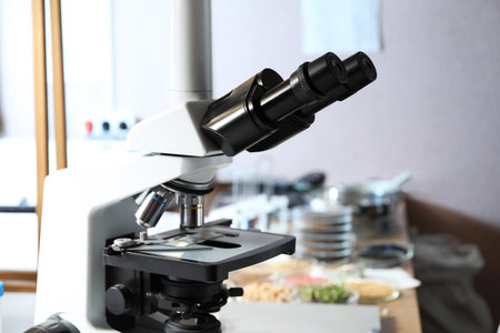 Modern microscope in laboratory, closeup. Phytopathological analysis