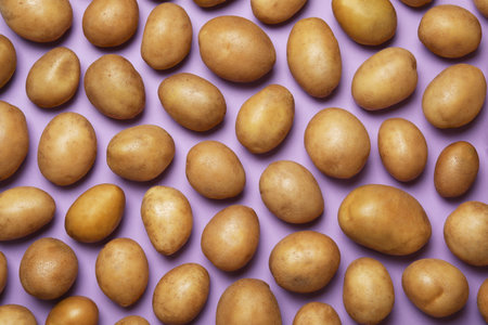 Raw fresh organic potatoes on violet background, flat layの写真素材