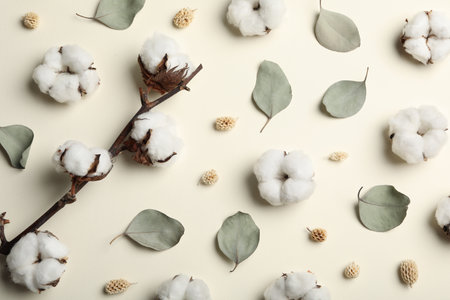 Flat lay composition with cotton flowers on beige backgroundの写真素材