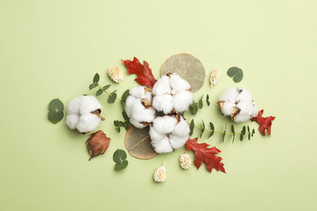 Flat lay composition with cotton flowers on green backgroundの写真素材