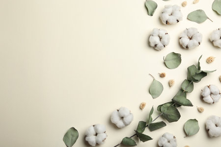 Flat lay composition with cotton flowers on beige background, space for textの写真素材