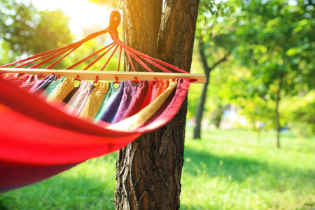 Bright comfortable hammock hanging in green garden, closeupの写真素材