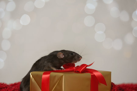 Cute little rat and gift box on red fluffy blanket against blurred lights. Chinese New Year symbolの写真素材