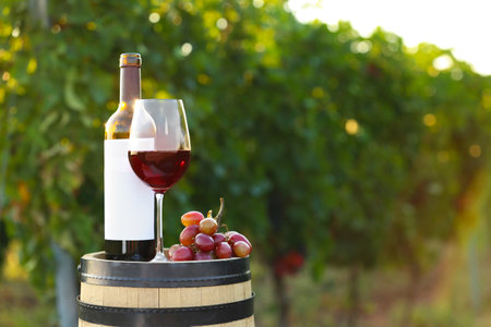 Composition with wine and ripe grapes on barrel at vineyardの写真素材