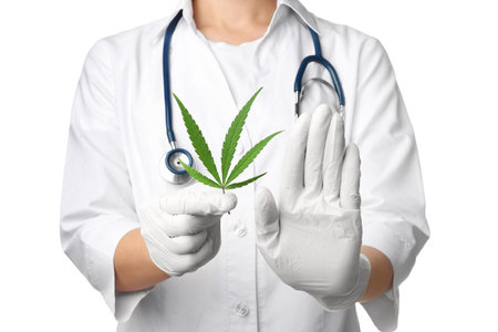Doctor holding leaf of medical hemp on white background, closeupの写真素材