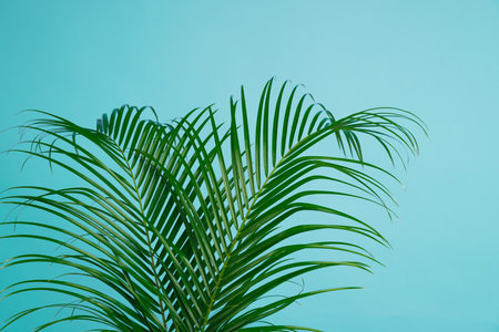 Tropical leaves on blue background. Stylish interior elementの写真素材