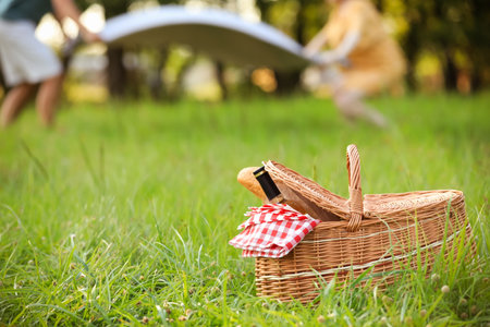 Wicker picnic basket with bottle of wine and bread on green grassの写真素材