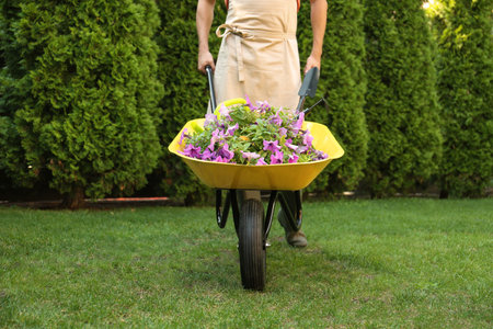 Man with wheelbarrow working in garden, closeupの写真素材