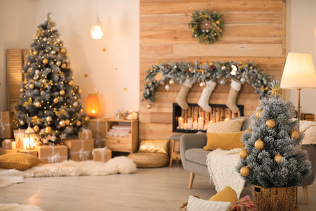 Little Christmas tree in festive living room interiorの写真素材