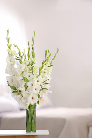 Vase with beautiful white gladiolus flowers on wooden table in the bedroomの写真素材