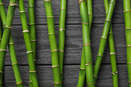 Green bamboo stems on black wooden background, top viewの写真素材