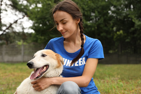 Female volunteer with homeless dog at animal shelter outdoorsの写真素材