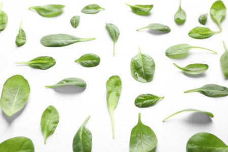 Fresh green spinach leaves with water drops on white backgroundの写真素材