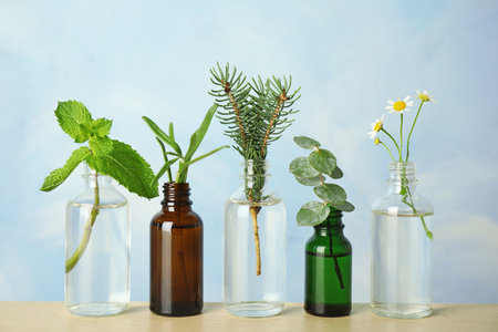 Glass bottles of different essential oils with plants on tableの写真素材