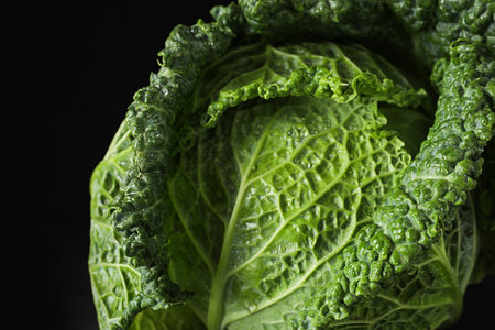 Fresh green savoy cabbage on black background, closeupの写真素材