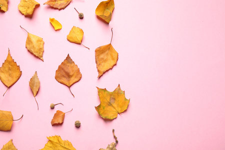 Flat lay composition with autumn leaves on pink background. Space for text