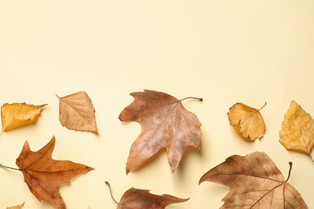 Flat lay composition with autumn leaves on beige background. Space for textの写真素材