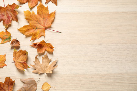 Flat lay composition with autumn leaves on wooden background. Space for textの写真素材