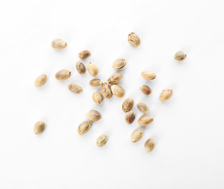 Raw organic hemp seeds on white background, top viewの写真素材