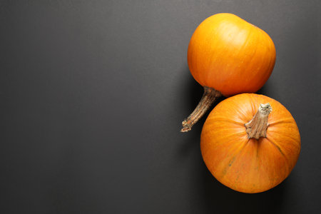 Fresh ripe pumpkins on black background, flat lay with space for text. holiday decorationの写真素材