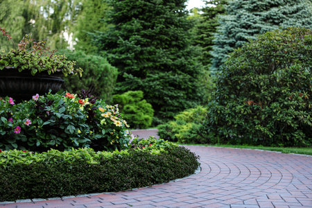 Beautiful flower bed in green garden on summer dayの写真素材