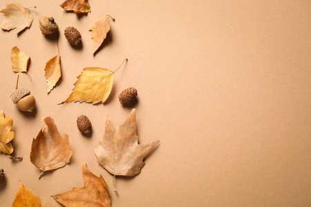Flat lay composition with autumn leaves on brown background. Space for textの写真素材