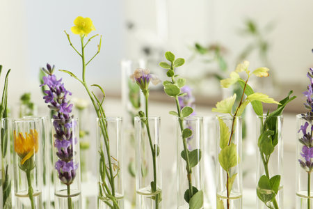 Close up view of test tubes with different plants on blurred backgroundの写真素材