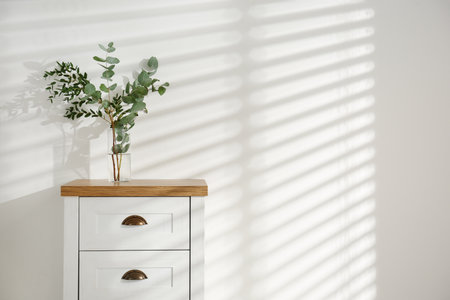 Modern chest of drawers with green branches near white wall, space for text