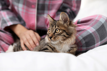 Woman wearing pajama with cat on bed, closeup. Owner and petの写真素材