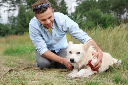 Male volunteer with homeless dog at animal shelter outdoorsの写真素材