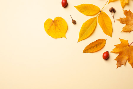 Flat lay composition with autumn leaves on beige background. Space for textの写真素材