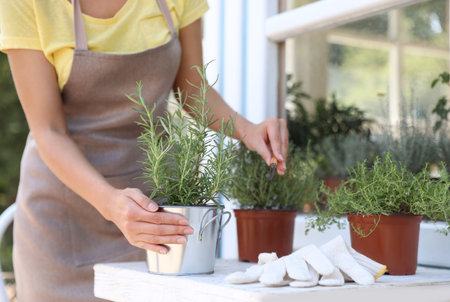 Young woman taking care of home plants at white wooden table outdoors, closeupの写真素材