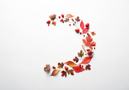 Beautiful composition with autumn leaves on white background, flat lay. Space for textの写真素材
